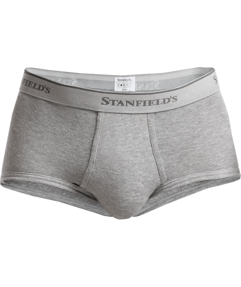 Stanfields Men's Supreme Brief 2 Pack