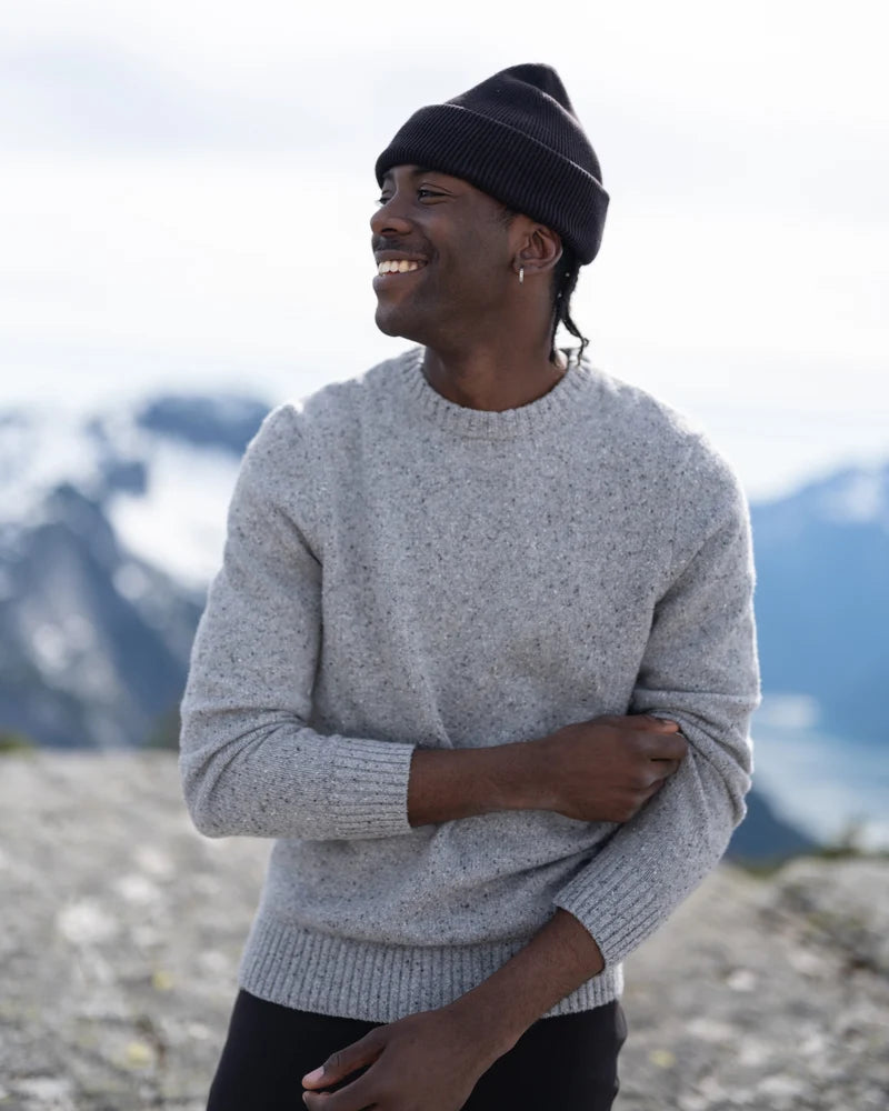 tentree Men's Rambler Fleck Sweater