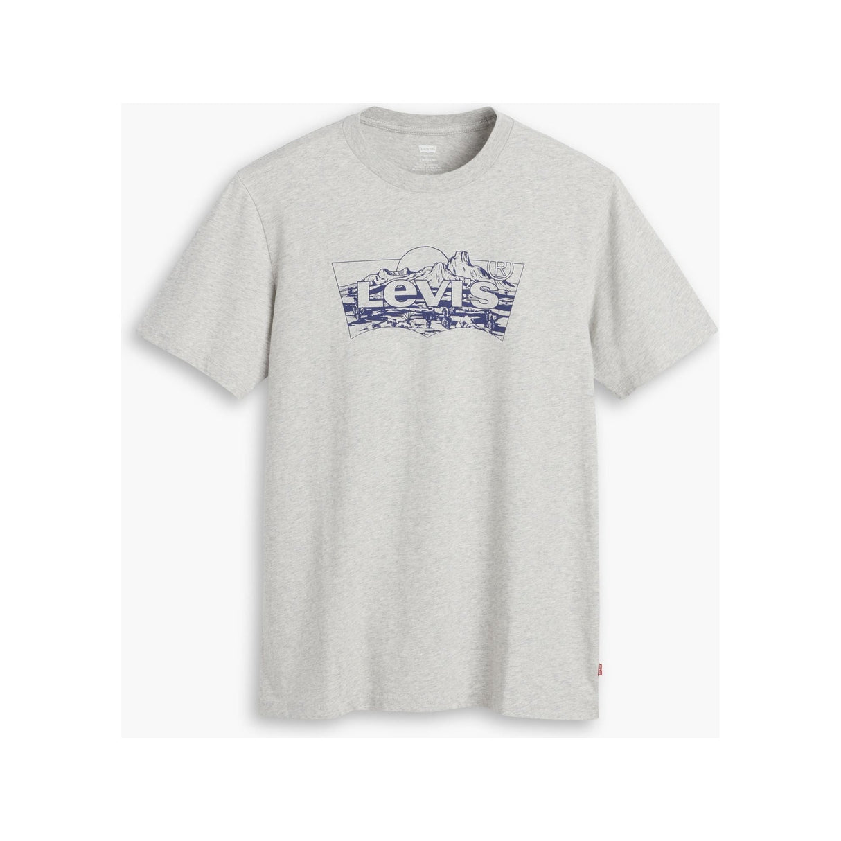 Levi's Men's Graphic Crewneck Tee - A&M Clothing & Shoes - Westlock