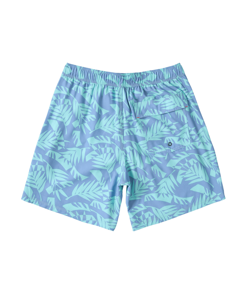 Saxx Men's Oh Buoy 2N1 Swim Shorts - A&M Clothing & Shoes - Westlock