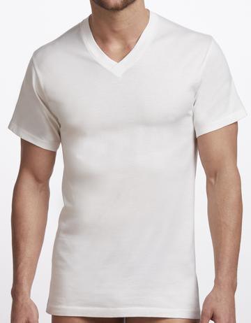 Stanfields Men's Vneck Tee 2 Pack - A&M Clothing & Shoes - Westlock