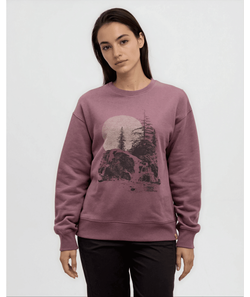 tentree Women's Backcountry Crew Sweater - A&M Clothing and Shoes