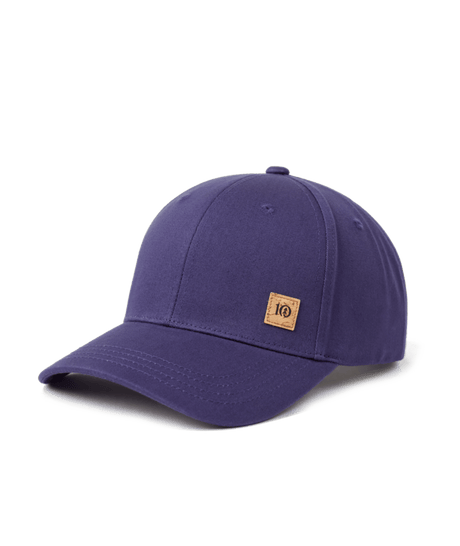 tentree Cork Icon Elevation Hat