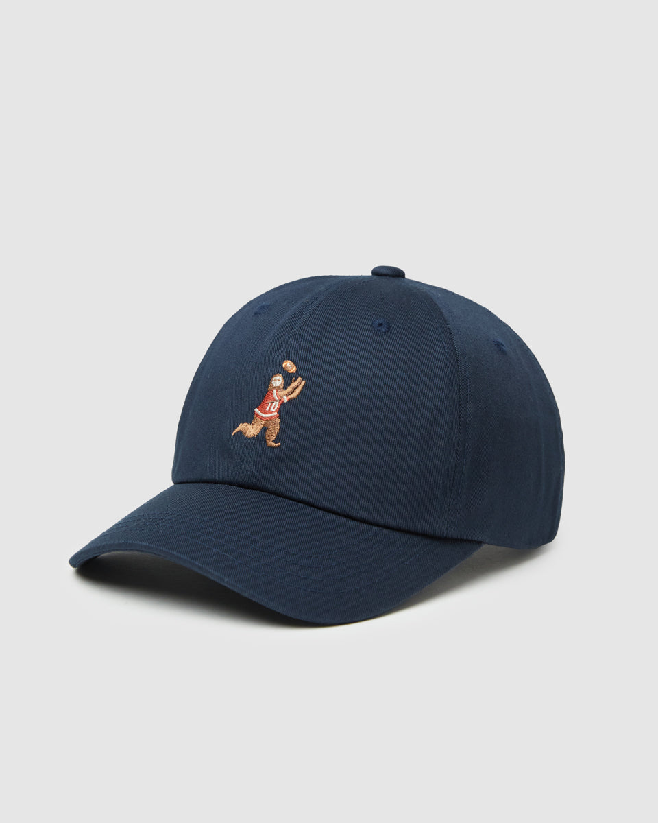 tentree Sasquatch Peak Hat