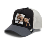 Goorin Bros Migration Banger Hat
