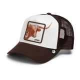 Goorin Bros Over The Line Longhorn Hat