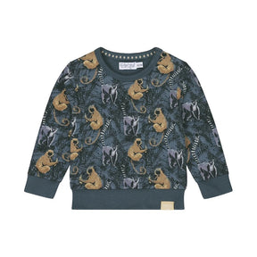 Dirkje Baby Boys Crew Neck Sweater - Steel
