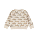 Dirkje Baby Boys Long Sleeve Sweater - Angora
