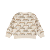 Dirkje Baby Boys Long Sleeve Sweater - Angora