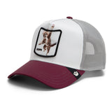 Goorin Bros Migration Oops Hat