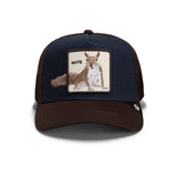 Goorin Bros Over the Line Squirrel Hat