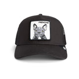 Goorin Bros Frenchie Trucker Hat - Void