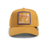 Goorin Bros Shadow Golden Doodle Hat - Amber