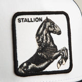 Goorin Bros Stallion Trucker Hat - A&M Clothing & Shoes
