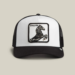 Goorin Bros Stallion Trucker Hat - Dust/Void