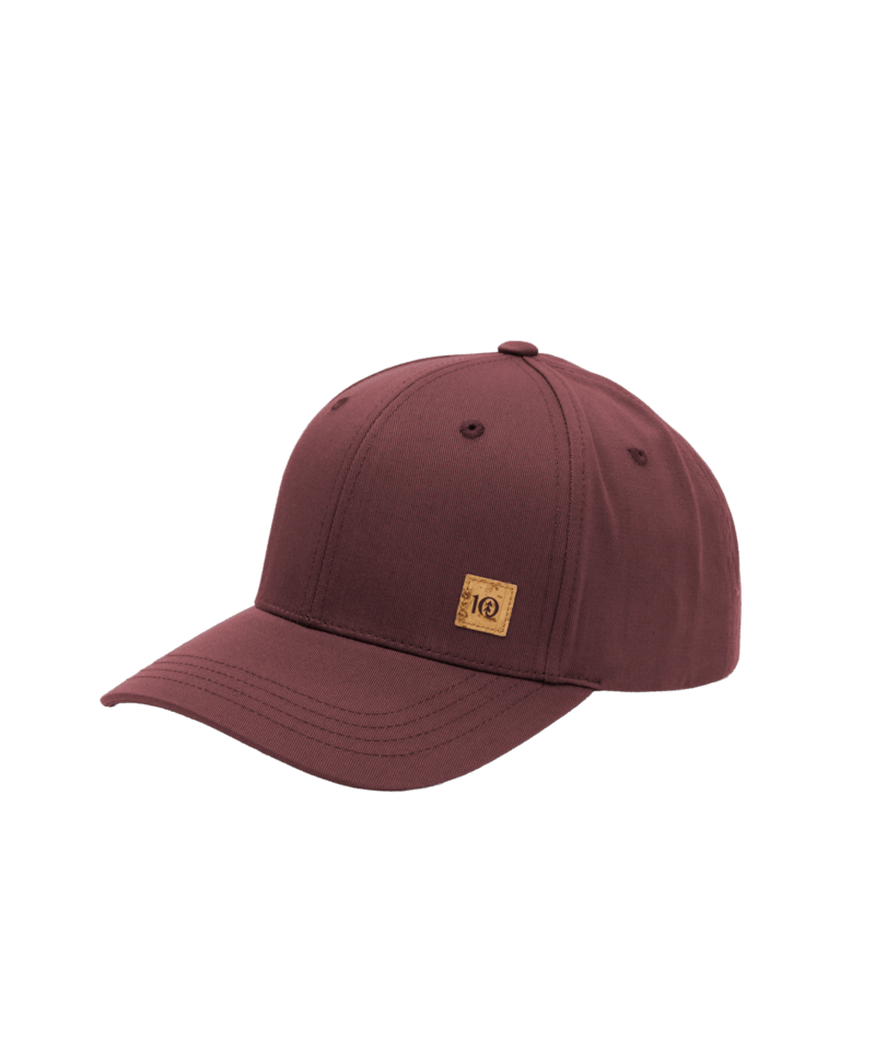 tentree Cork Icon Elevation Hat