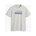 Levi's Men's Graphic Crewneck Tee - A&M Clothing & Shoes - Westlock