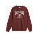 Levi's Men's Relaxed Graphic Crew Sweater - Andorra
