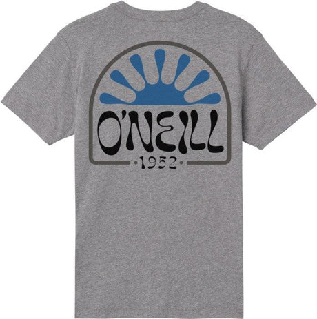 O'Neill Youth Boys Huckleberry T-Shirt - Grey
