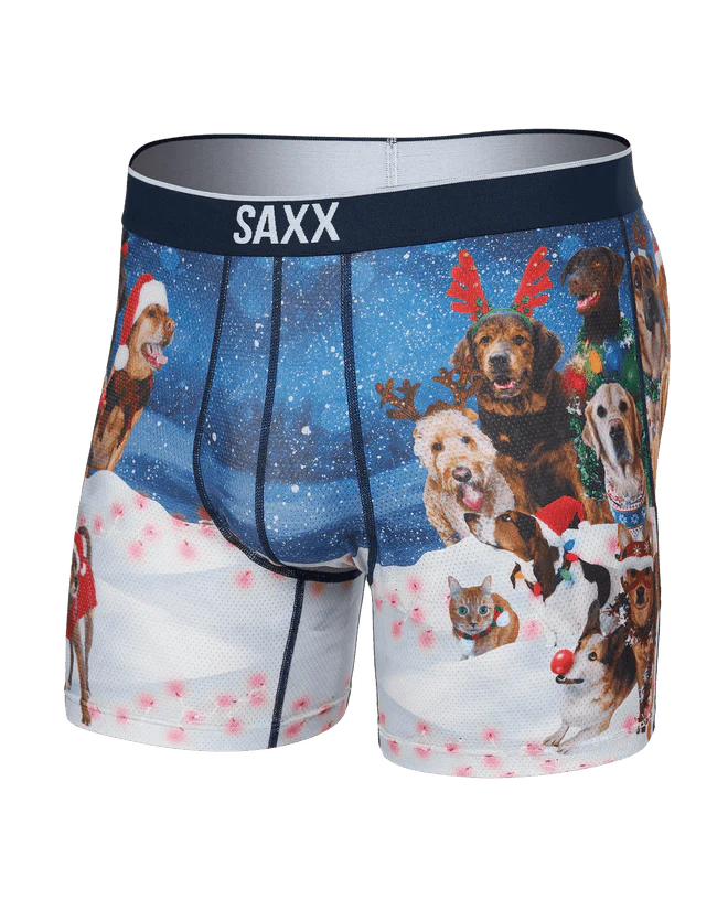 Saxx Men's Volt Mesh Boxer Briefs - A&M Clothing & Shoes - Westlock