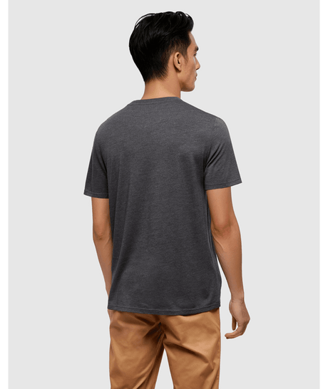 tentree Men's Vintage Sunset T-Shirt - Meteorite Heather