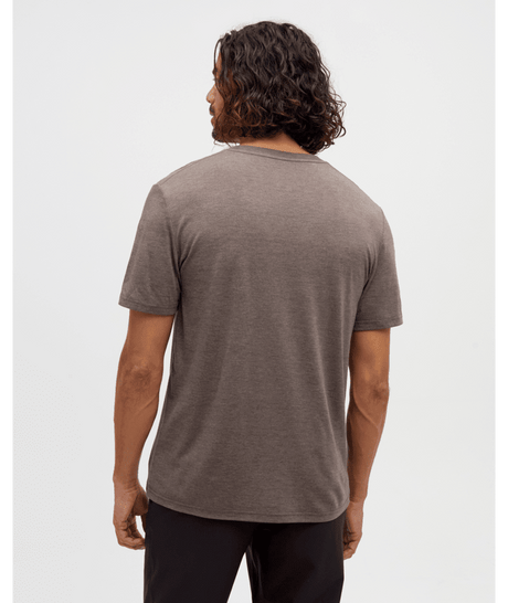 tentree Men's Vintage Sunset T-Shirt - Ashwood Heather
