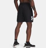 Under Armour Men's Tech Woven Graphic Shorts - A&M Clothing & Shoes