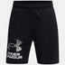 Under Armour Youth Boys Tech Logo Shorts - A&M Clothing & Shoes