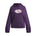 Under Armour Youth Girls Big Logo Print Fill Hoodie - Purple Echo