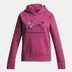 Under Armour Youth Girls Rival Fleece Big Logo Hoodie - A&M Clothing & Shoes - Westlock